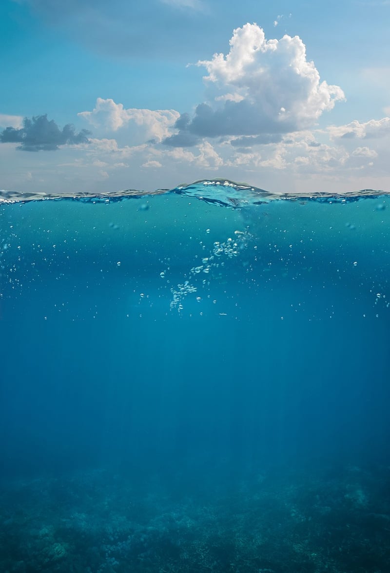 Underwater Wonders